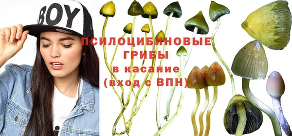 тгк Михайловка